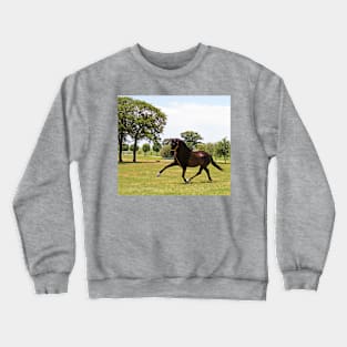 Watch Me Fly Crewneck Sweatshirt